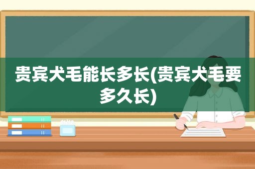 贵宾犬毛能长多长(贵宾犬毛要多久长)