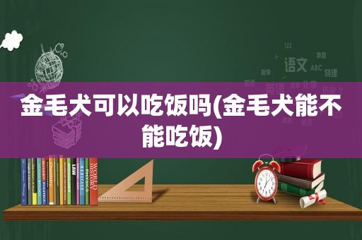 金毛犬可以吃饭吗(金毛犬能不能吃饭)