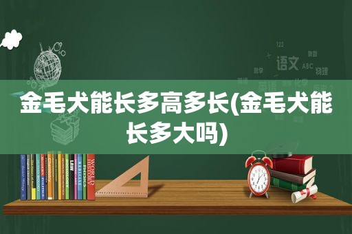 金毛犬能长多高多长(金毛犬能长多大吗)