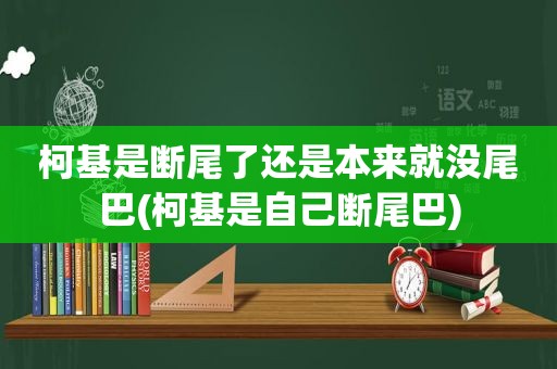 柯基是断尾了还是本来就没尾巴(柯基是自己断尾巴)