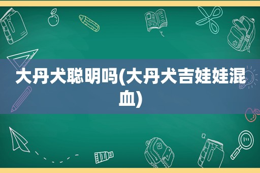 大丹犬聪明吗(大丹犬吉娃娃混血)