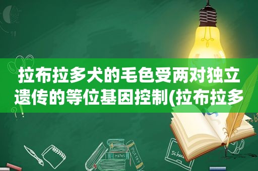 拉布拉多犬的毛色受两对独立遗传的等位基因控制(拉布拉多犬的毛色)