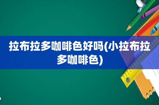 拉布拉多咖啡色好吗(小拉布拉多咖啡色)