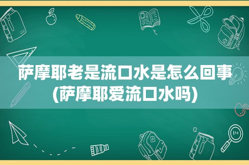 萨摩耶老是流口水是怎么回事(萨摩耶爱流口水吗)