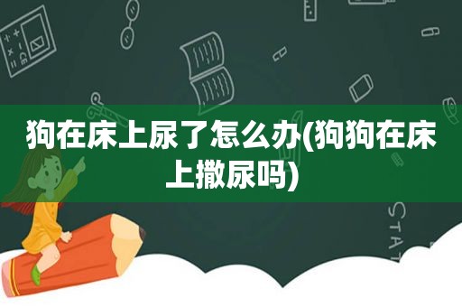 狗在床上尿了怎么办(狗狗在床上撒尿吗)