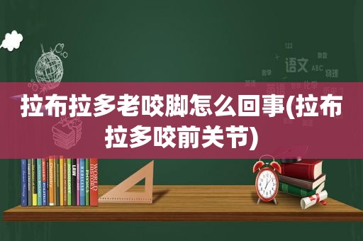 拉布拉多老咬脚怎么回事(拉布拉多咬前关节)