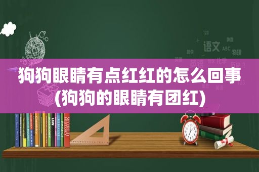 狗狗眼睛有点红红的怎么回事(狗狗的眼睛有团红)