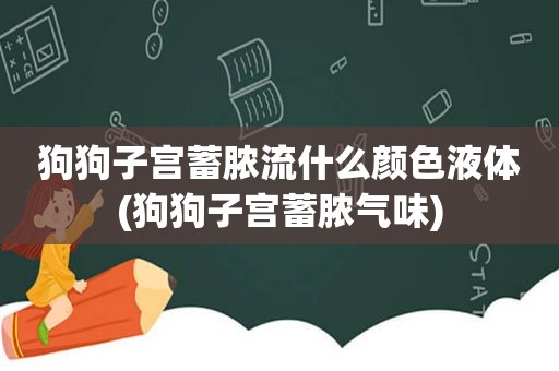 狗狗子宫蓄脓流什么颜色液体(狗狗子宫蓄脓气味)