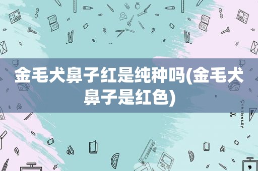 金毛犬鼻子红是纯种吗(金毛犬鼻子是红色)  第1张