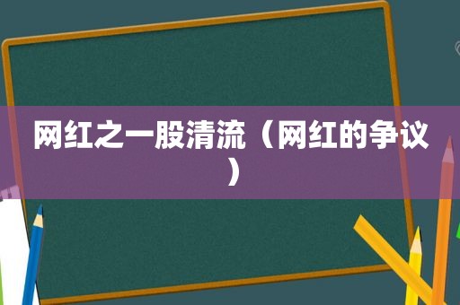 网红之一股清流（网红的争议）