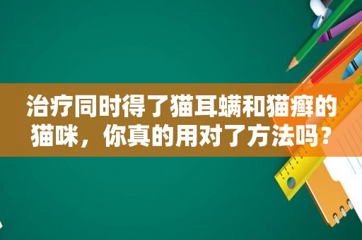 治疗同时得了猫耳螨和猫癣的猫咪，你真的用对了方法吗？