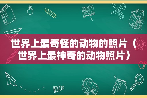 世界上最奇怪的动物的照片（世界上最神奇的动物照片）