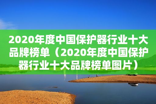 2020年度中国保护器行业十大品牌榜单（2020年度中国保护器行业十大品牌榜单图片）