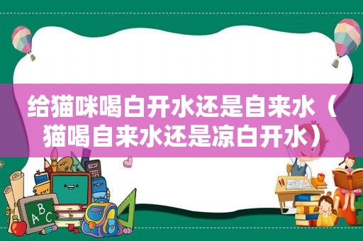 给猫咪喝白开水还是自来水（猫喝自来水还是凉白开水）