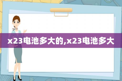 x23电池多大的,x23电池多大