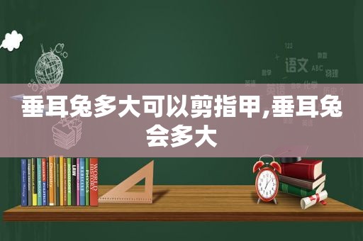 垂耳兔多大可以剪指甲,垂耳兔会多大