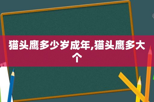 猫头鹰多少岁成年,猫头鹰多大个