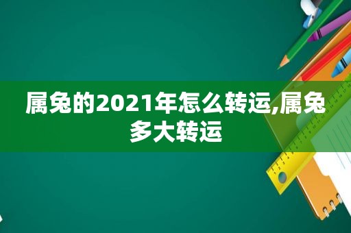 属兔的2021年怎么转运,属兔多大转运