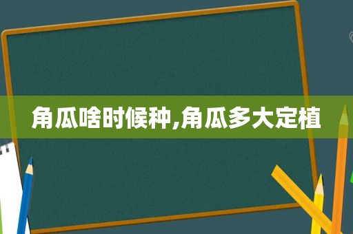 角瓜啥时候种,角瓜多大定植