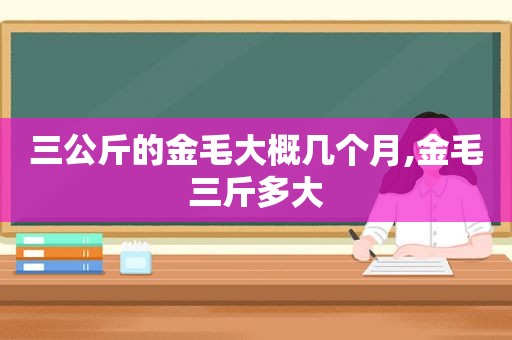 三公斤的金毛大概几个月,金毛三斤多大