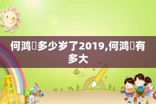 何鸿燊多少岁了2019,何鸿燊有多大