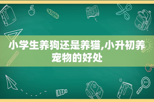 小学生养狗还是养猫,小升初养宠物的好处