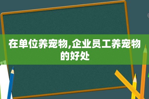 在单位养宠物,企业员工养宠物的好处