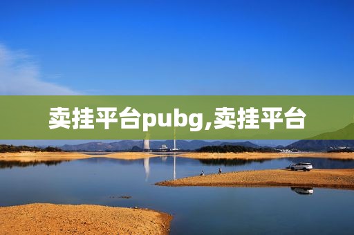 卖挂平台pubg,卖挂平台