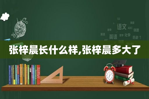 张梓晨长什么样,张梓晨多大了