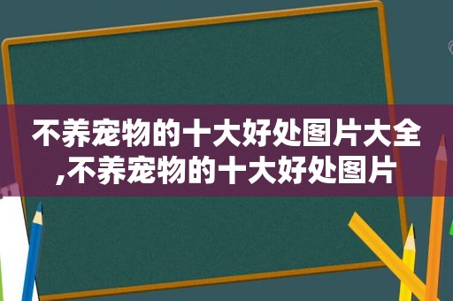 不养宠物的十大好处图片大全,不养宠物的十大好处图片