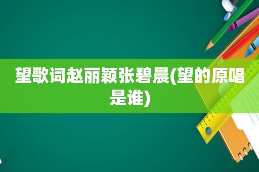 望歌词赵丽颖张碧晨(望的原唱是谁)