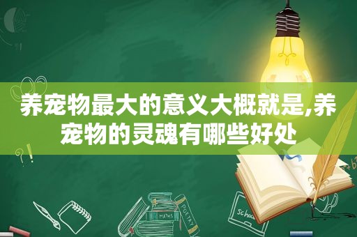 养宠物最大的意义大概就是,养宠物的灵魂有哪些好处