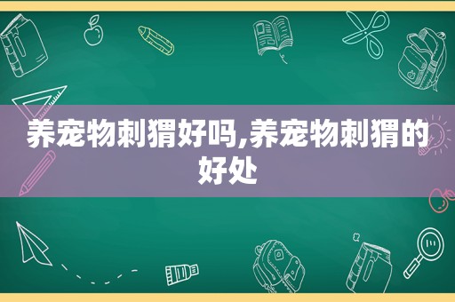 养宠物刺猬好吗,养宠物刺猬的好处