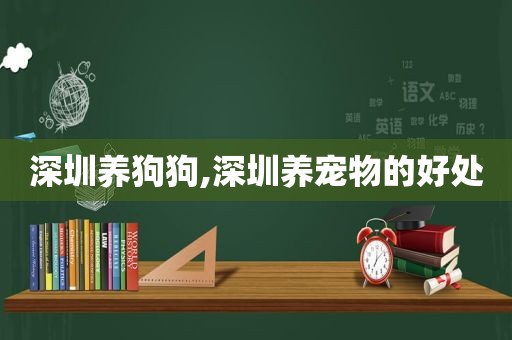 深圳养狗狗,深圳养宠物的好处