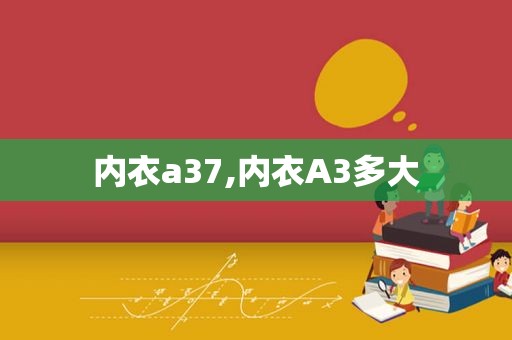 内衣a37,内衣A3多大