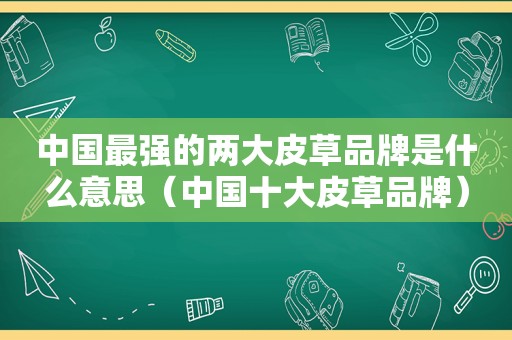 中国最强的两大皮草品牌是什么意思（中国十大皮草品牌）