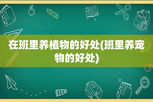 在班里养植物的好处(班里养宠物的好处)