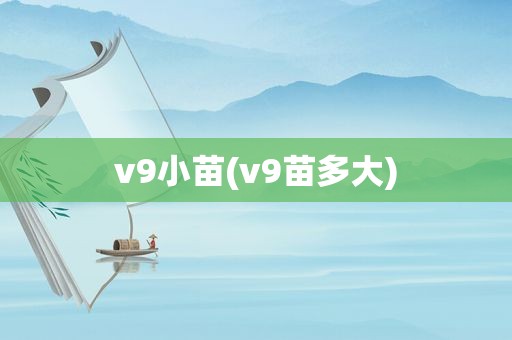 v9小苗(v9苗多大)