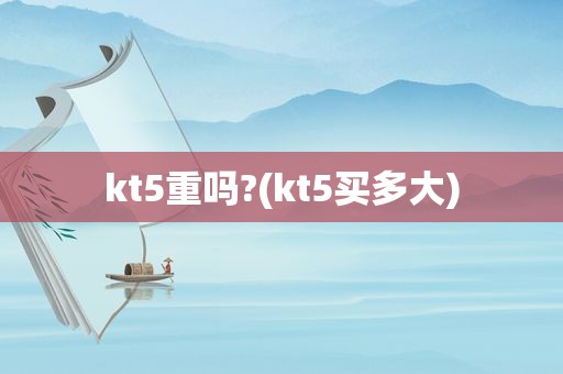 kt5重吗?(kt5买多大)