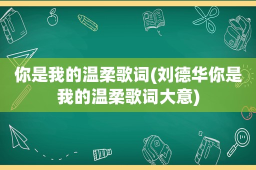 你是我的温柔歌词(刘德华你是我的温柔歌词大意)