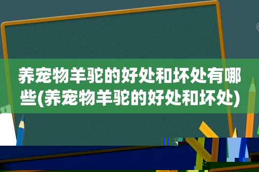 养宠物羊驼的好处和坏处有哪些(养宠物羊驼的好处和坏处)