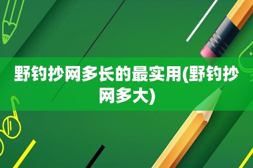 野钓抄网多长的最实用(野钓抄网多大)