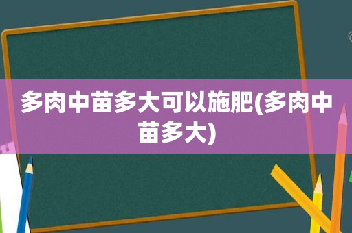 多肉中苗多大可以施肥(多肉中苗多大)