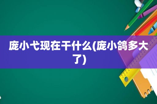 庞小弋现在干什么(庞小鸽多大了)