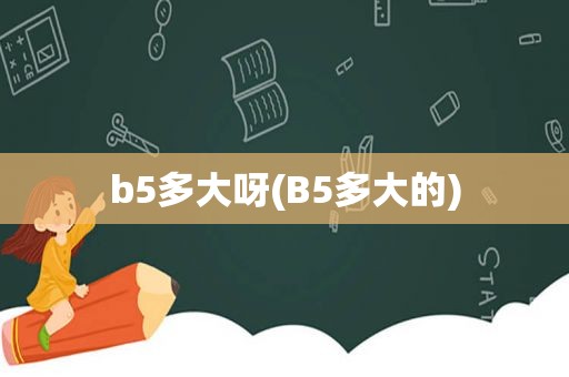 b5多大呀(B5多大的)