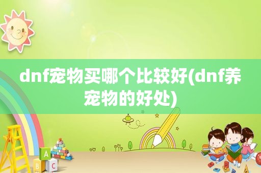 dnf宠物买哪个比较好(dnf养宠物的好处)