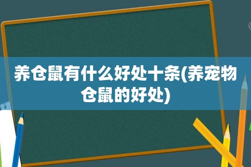 养仓鼠有什么好处十条(养宠物仓鼠的好处)