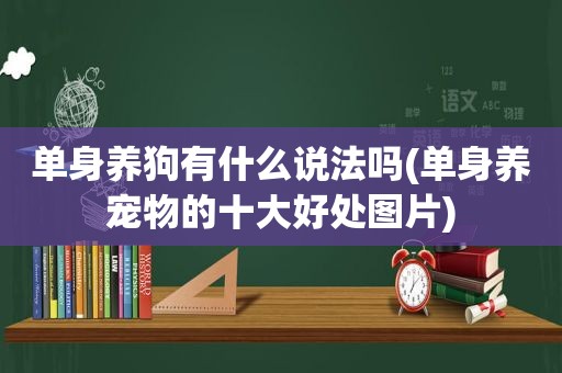 单身养狗有什么说法吗(单身养宠物的十大好处图片)