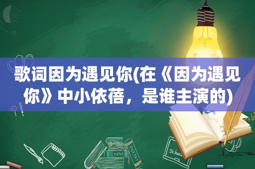 歌词因为遇见你(在《因为遇见你》中小依蓓，是谁主演的)