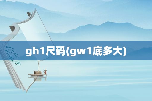 gh1尺码(gw1底多大)